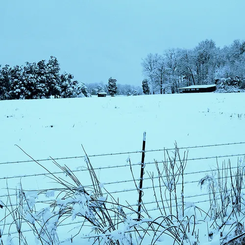 Snow 2015 Fence