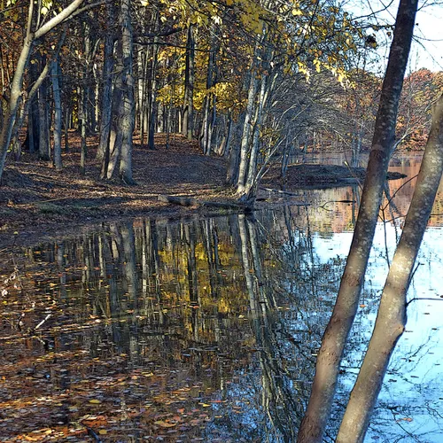 Landis Lake