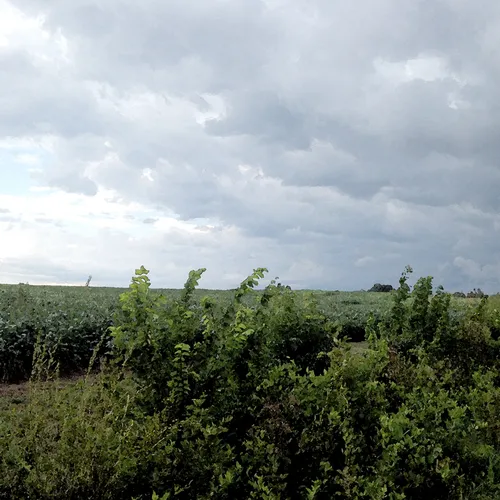 Storm Front