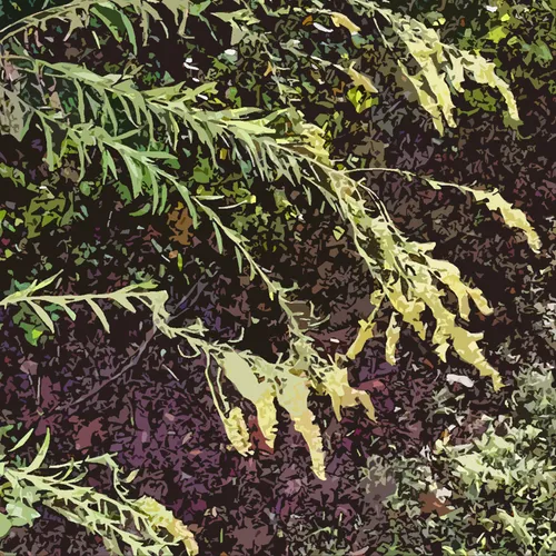 Golden Rod Cutout-7