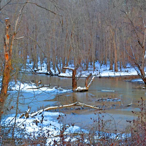 Snow 28