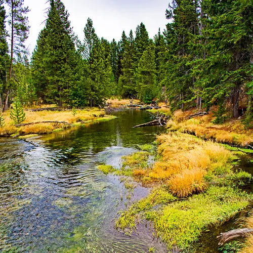 Yellowstone 9