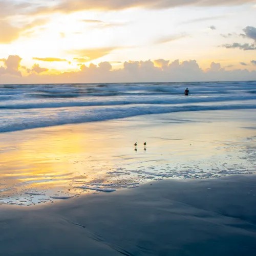 Nsb 8