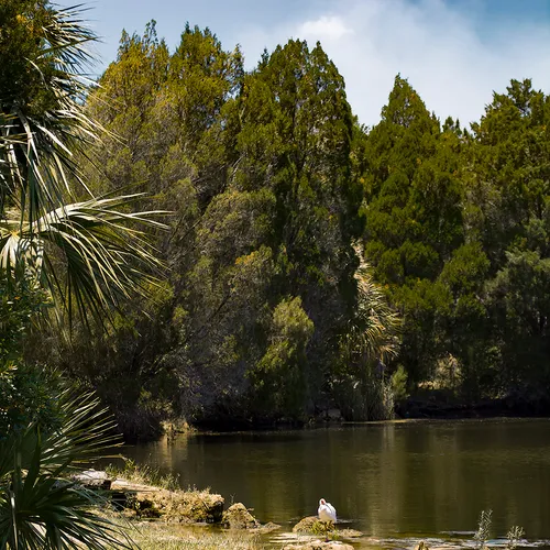 Crystalriver 2