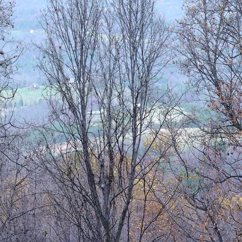 Landscape Br Wc