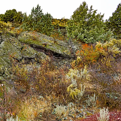 Idaholavafield 1