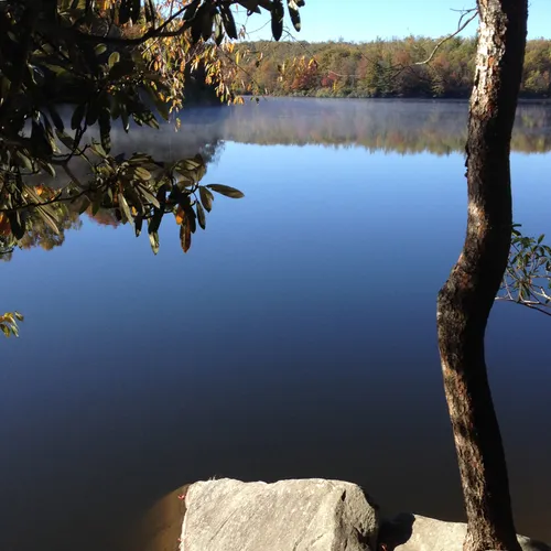 Robs water pic