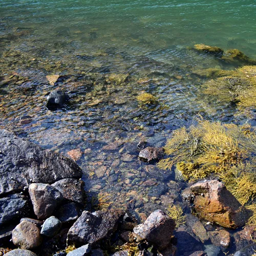 Acadia Shore 5