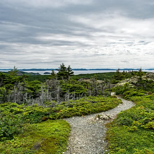Twillingate 11