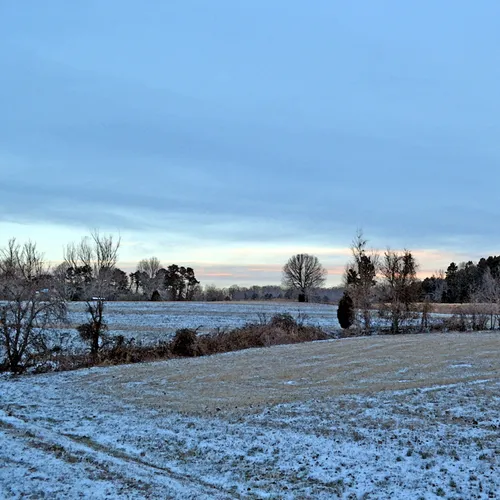 Snow 19