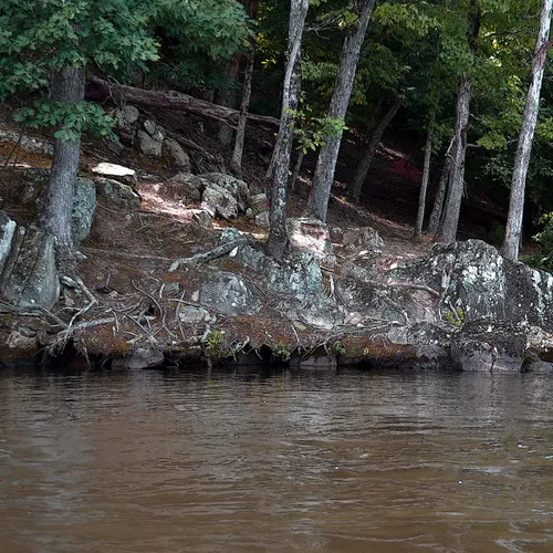 Yadkin-Peedee 7