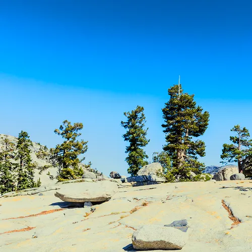 Yosemite 39