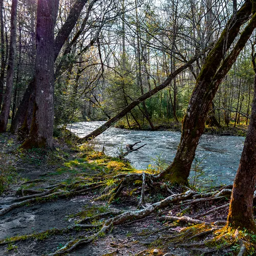 Cadescove 10