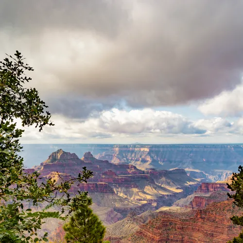 Northrim 35
