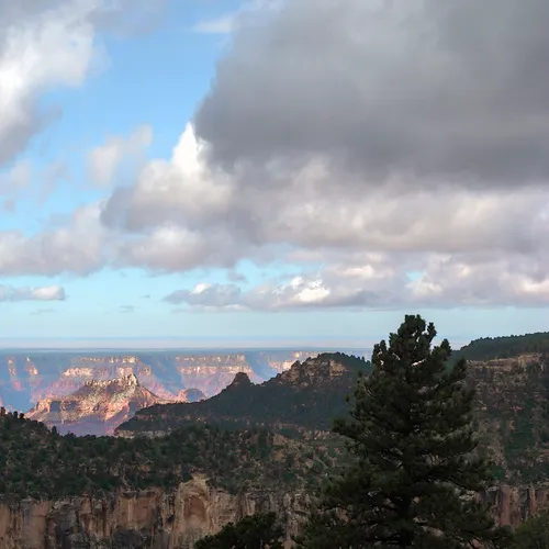 Northrim 12