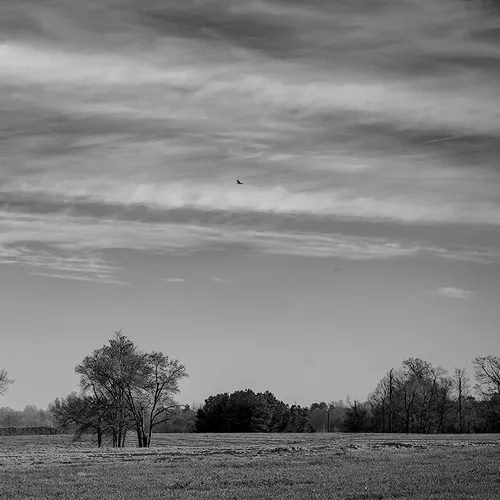 Woodleaffarm 1 B&W