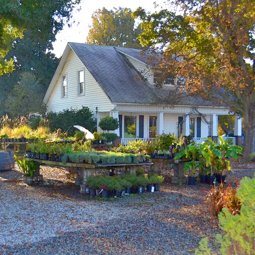 Godley House