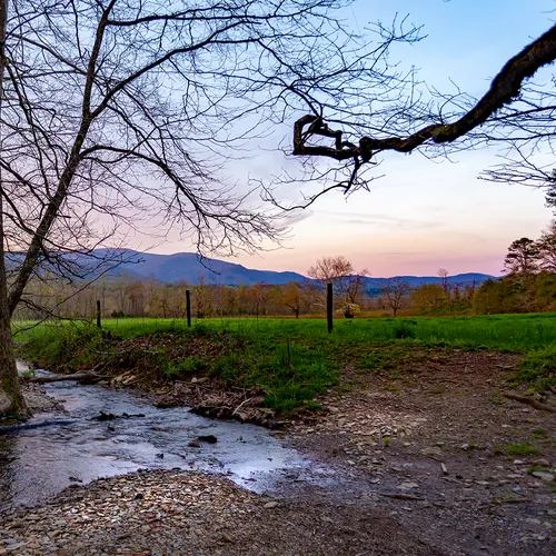 Cadescove 4