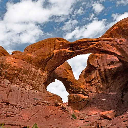 Arches 21