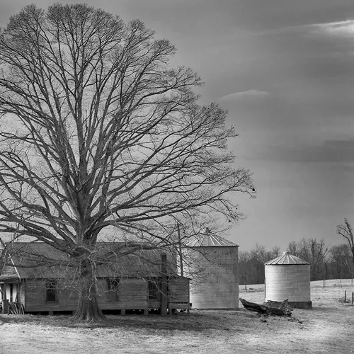backCreekChRd 1 bw
