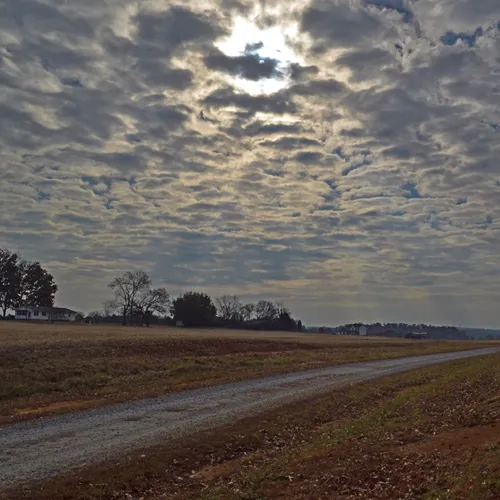 Poteat Road