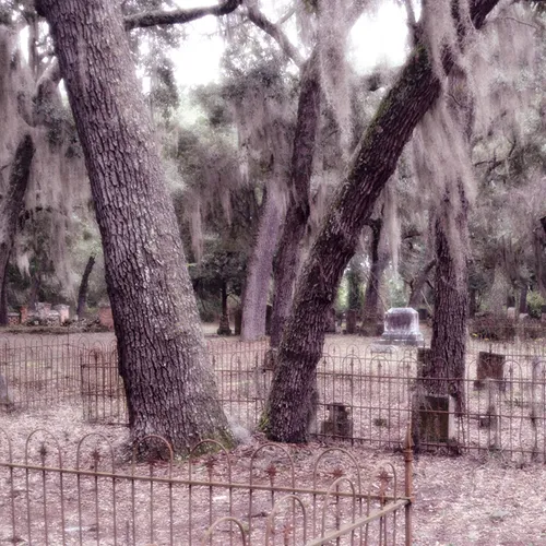 Crosby Cemetery 3