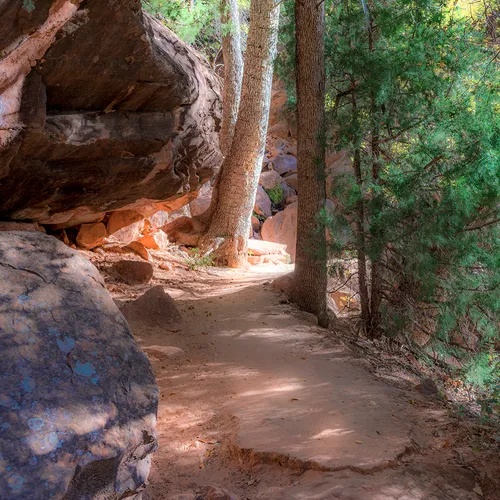 Zion 15