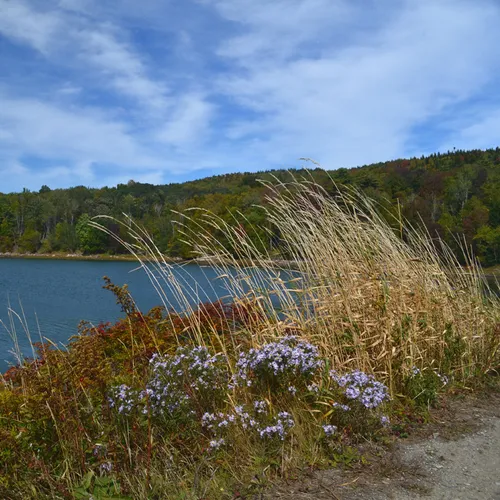 Acadia Pond 2
