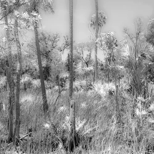 Crystalriver 1 B&W