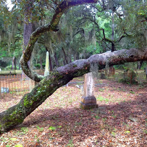 Graveyard 7