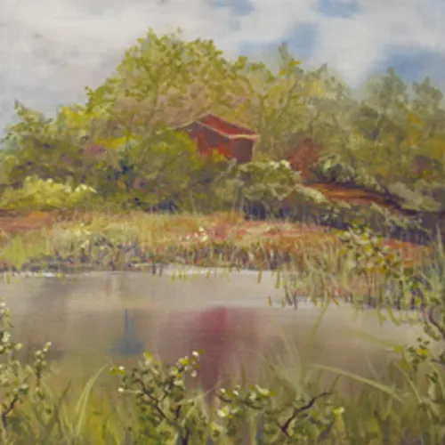 Pond