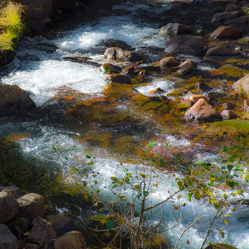 Yosemite 14