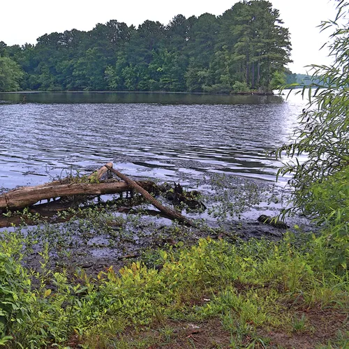 Rowan County 6