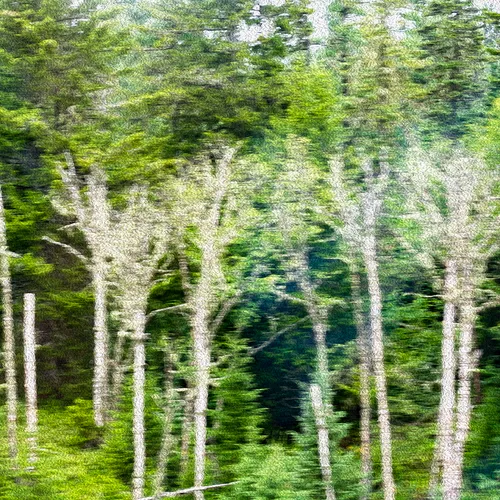 Maine 6