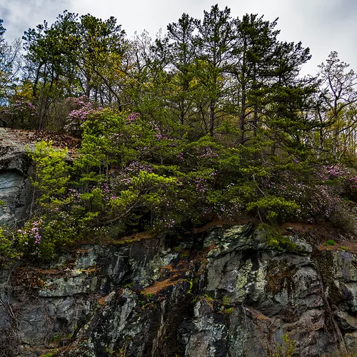 Blue Ridge 7