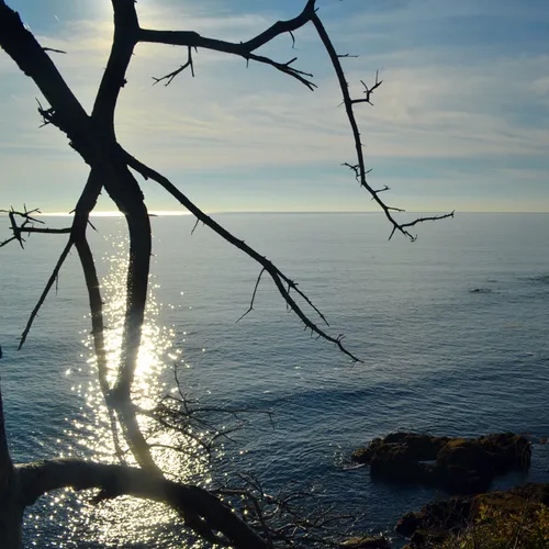 Acadia Shore 10