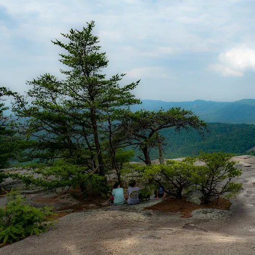 Stonemtn 1