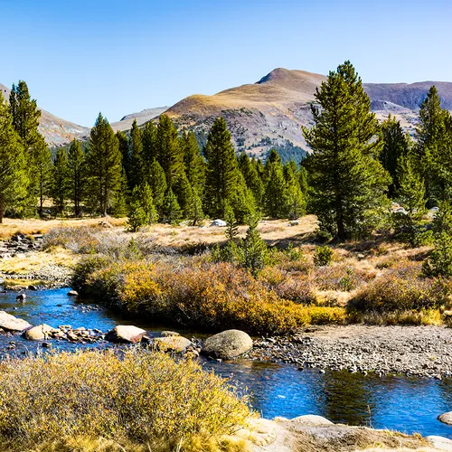 Yosemite 23