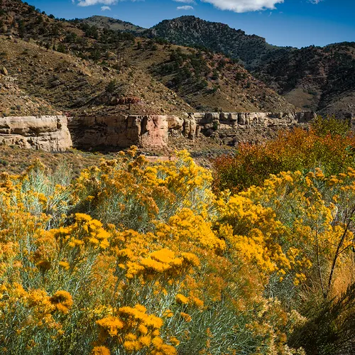 Utah 1