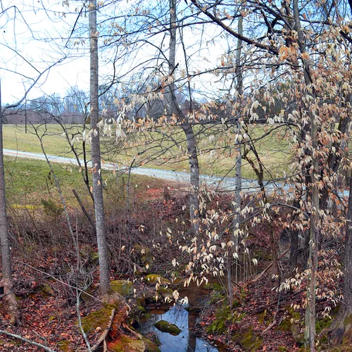 Stream Wr 3