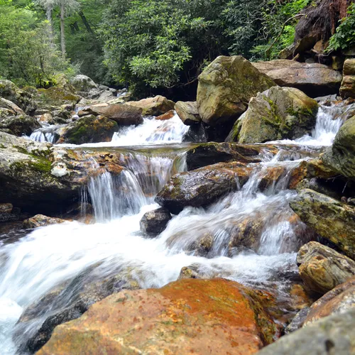 Waterfall 4 Pisgah