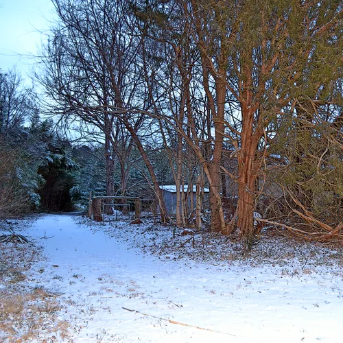 Snow 2