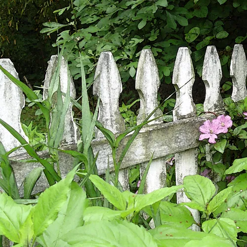 Cl Fence