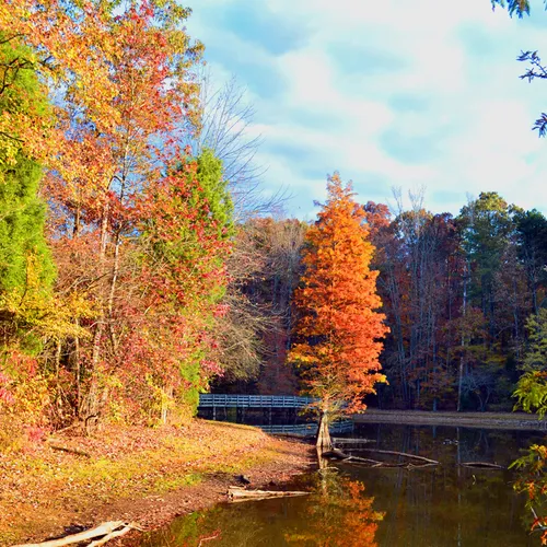 autumn Dan Nicholas