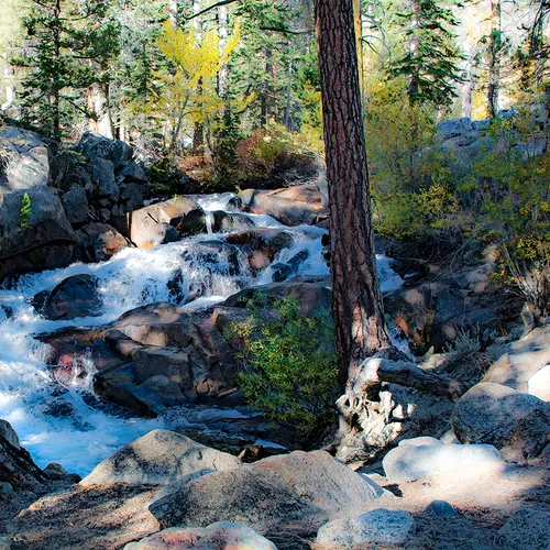 Yosemite 8