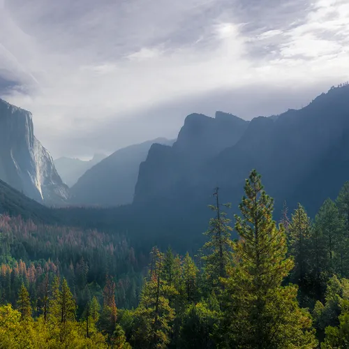 Yosemite 56