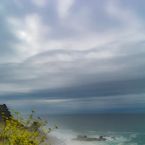 Pacifichighway 20