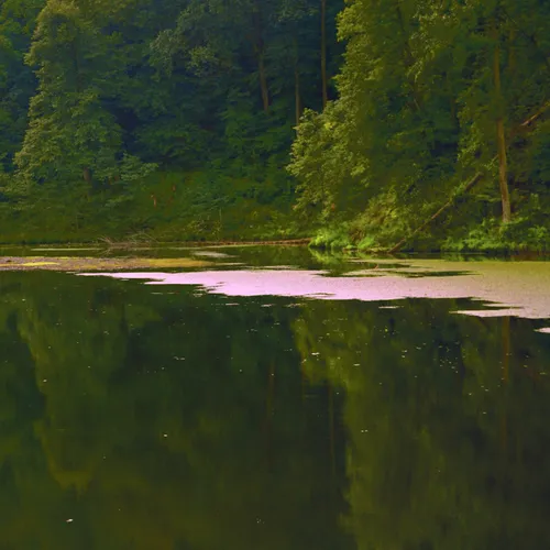 Otter Creek