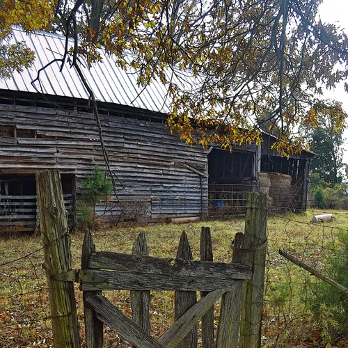 Gate