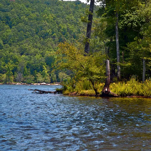 Yadkin-Peedee 21